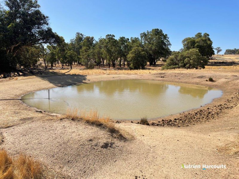 Photo - . Ramsay Road, Brookton WA 6306 - Image 6