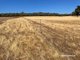 Photo - . Ramsay Road, Brookton WA 6306 - Image 7