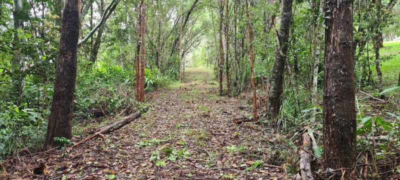 Ravenshoe QLD 4888