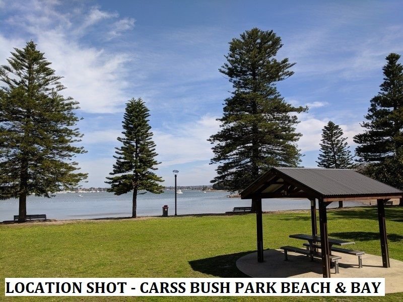 Photo - REAR-1/21 Carwar Ave , Carss Park NSW 2221 - Image 10