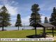 Photo - REAR-1/21 Carwar Ave , Carss Park NSW 2221 - Image 10