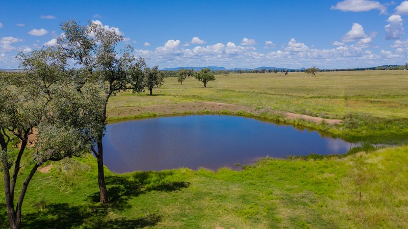 Photo - 'Redcourt' 1501 Corella Road, Manilla NSW 2346 - Image 3