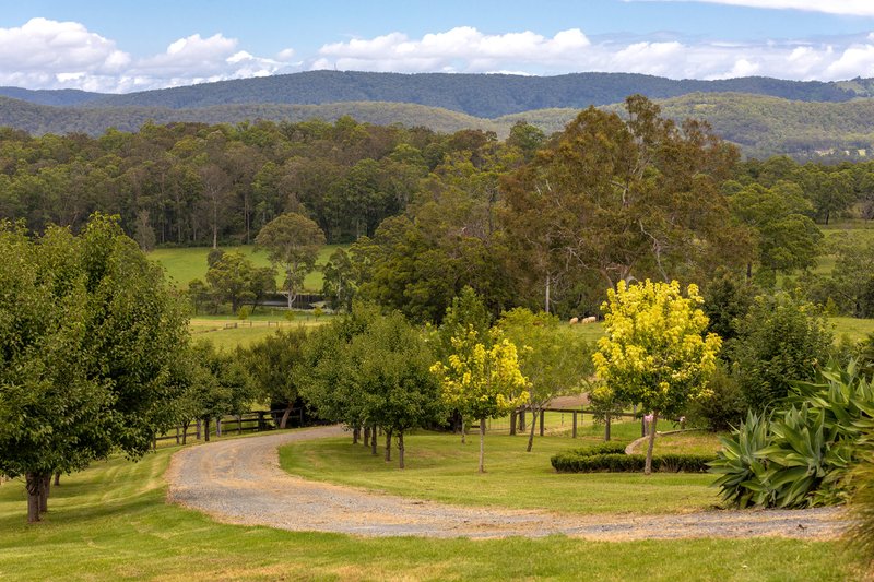 Photo - Regatta Park 182 Minimbah West Branch Road, Minimbah NSW 2312 - Image 3