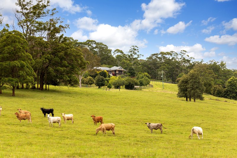 Photo - Regatta Park 182 Minimbah West Branch Road, Minimbah NSW 2312 - Image 9