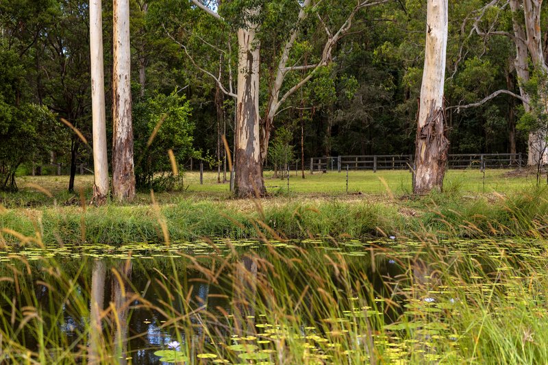 Photo - Regatta Park 182 Minimbah West Branch Road, Minimbah NSW 2312 - Image 11