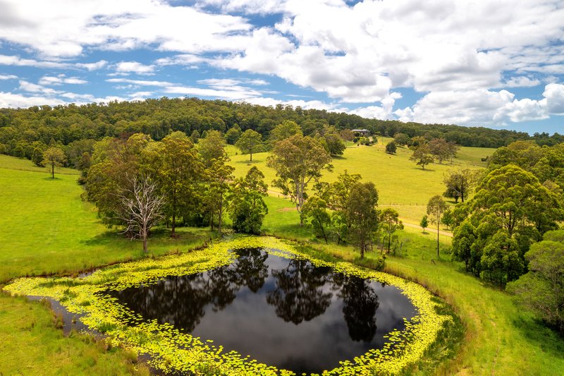 Photo - Regatta Park 182 Minimbah West Branch Road, Minimbah NSW 2312 - Image 26