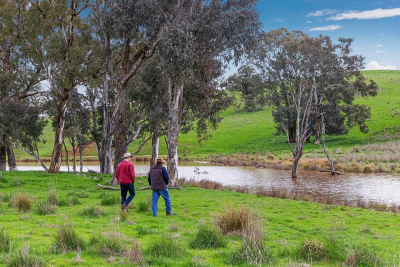 Photo - "Reynoldsdale", 1056 Lachlan Valley Way, Boorowa NSW 2586 - Image 2