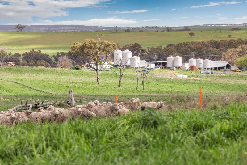Photo - "Reynoldsdale", 1056 Lachlan Valley Way, Boorowa NSW 2586 - Image 3