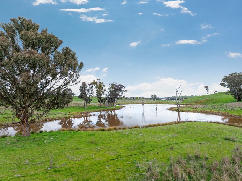 Photo - "Reynoldsdale", 1056 Lachlan Valley Way, Boorowa NSW 2586 - Image 4