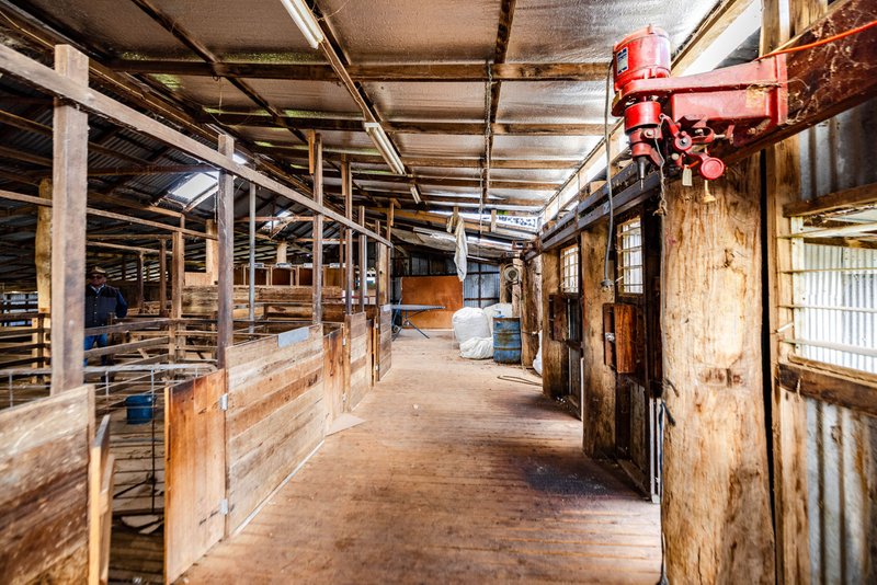 Photo - "Reynoldsdale", 1056 Lachlan Valley Way, Boorowa NSW 2586 - Image 9