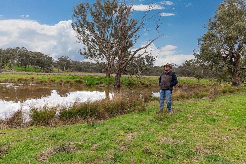 Photo - "Reynoldsdale", 1056 Lachlan Valley Way, Boorowa NSW 2586 - Image 20