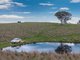 Photo - "Reynoldsdale", 1056 Lachlan Valley Way, Boorowa NSW 2586 - Image 22
