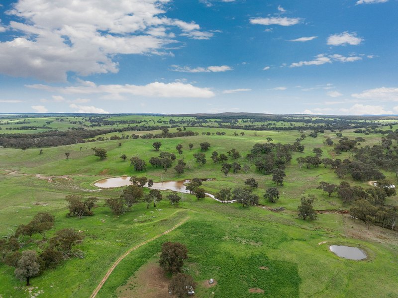 Photo - "Reynoldsdale", 1056 Lachlan Valley Way, Boorowa NSW 2586 - Image 24
