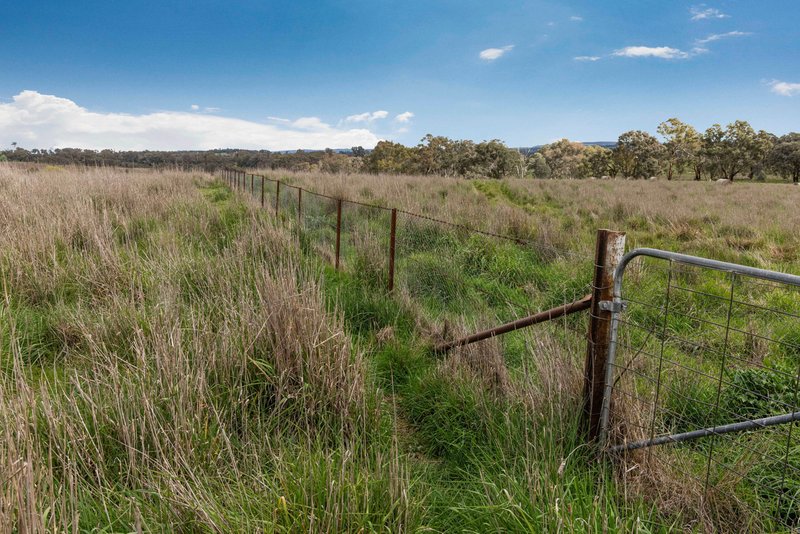 Photo - "Reynoldsdale", 1056 Lachlan Valley Way, Boorowa NSW 2586 - Image 28