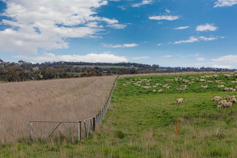 Photo - "Reynoldsdale", 1056 Lachlan Valley Way, Boorowa NSW 2586 - Image 29