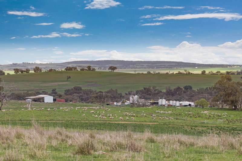 Photo - "Reynoldsdale", 1056 Lachlan Valley Way, Boorowa NSW 2586 - Image 32