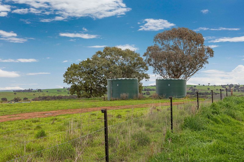 Photo - "Reynoldsdale", 1056 Lachlan Valley Way, Boorowa NSW 2586 - Image 33