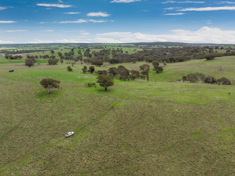 Photo - "Reynoldsdale", 1056 Lachlan Valley Way, Boorowa NSW 2586 - Image 35