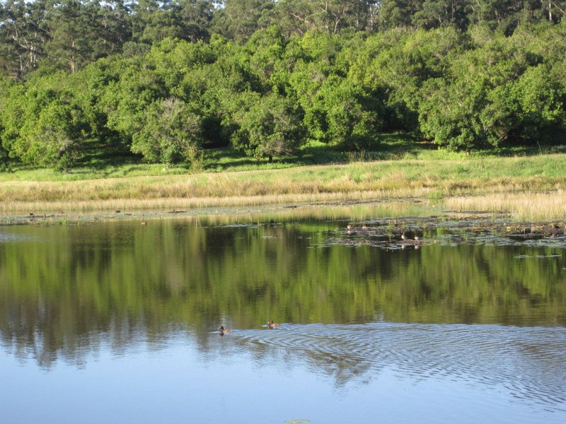 Photo - Ringtail Creek QLD 4565 - Image 2