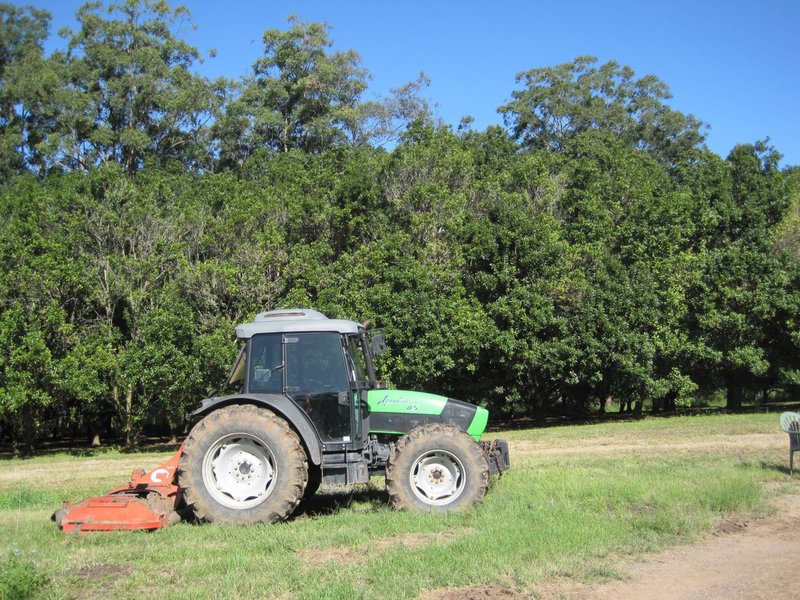 Photo - Ringtail Creek QLD 4565 - Image 3