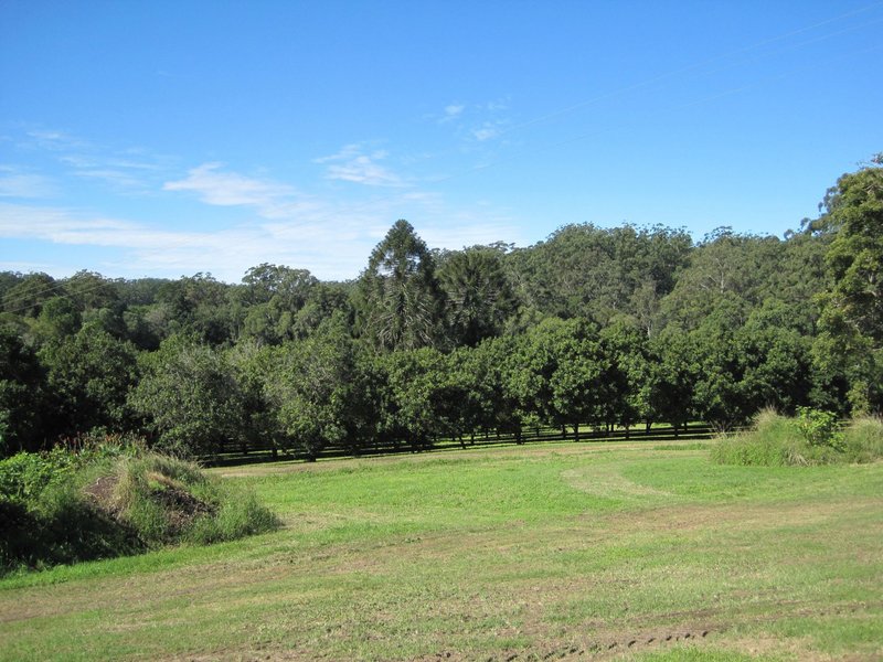 Photo - Ringtail Creek QLD 4565 - Image 6