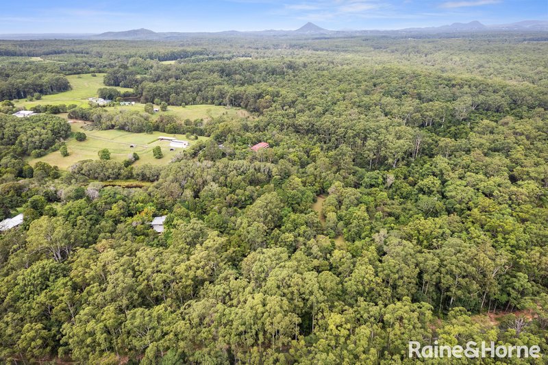 Photo - Ringtail Creek QLD 4565 - Image 18