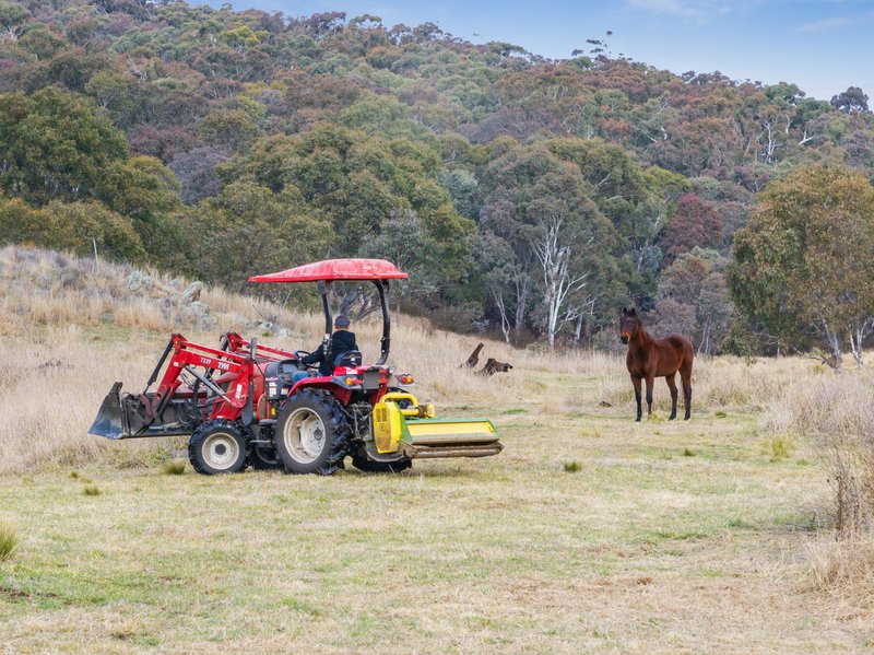 Photo - "Riverdale" 2248 Yass River Road, Yass River NSW 2582 - Image 7