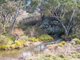 Photo - "Riverdale" 2248 Yass River Road, Yass River NSW 2582 - Image 23