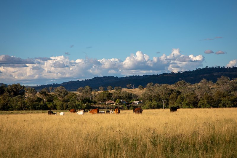 Photo - 'Riverstone' Riverstone Road, Upper Horton NSW 2347 - Image 13