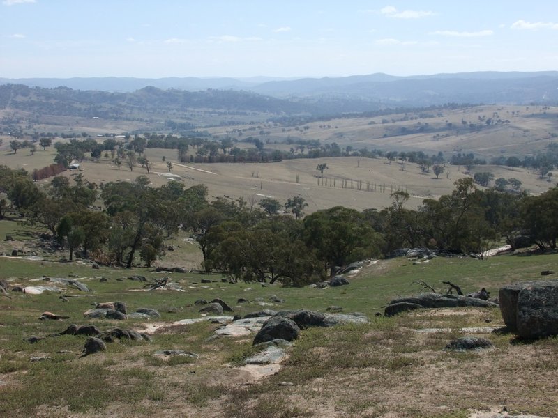 Rock Forest NSW 2795