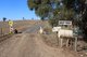 Photo - Rockley NSW 2795 - Image 14