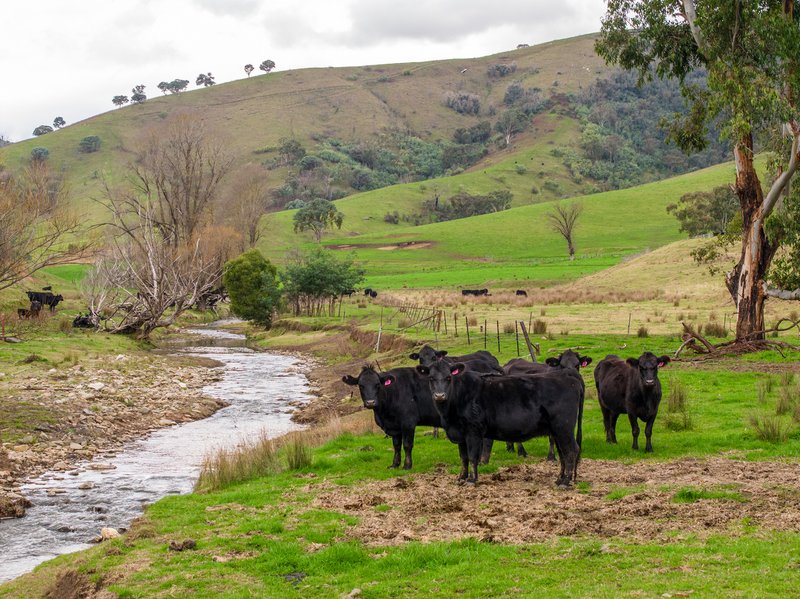 'Rockview' 400 Horse Creek Road, Jingellic NSW 2642