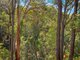 Photo - Rosedale NSW 2536 - Image 3