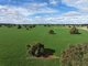 Photo - "Roseleigh" Roseleigh Road, Trundle NSW 2875 - Image 1