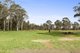 Photo - Rossmore NSW 2557 - Image 5