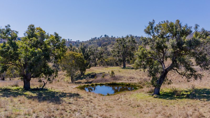 Photo - 'Rutherglen' Limbri-Weabonga Road, Weabonga NSW 2340 - Image 2