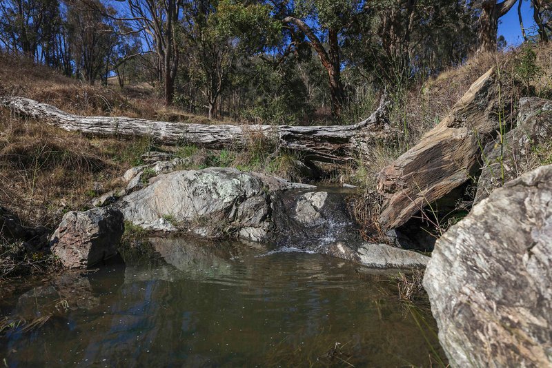 Photo - 'Rutherglen' Limbri-Weabonga Road, Weabonga NSW 2340 - Image 4