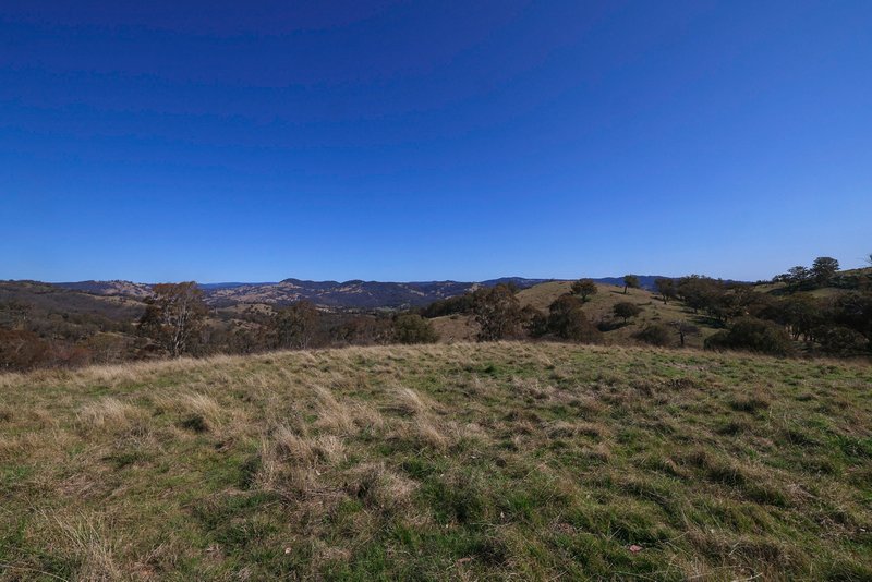 Photo - 'Rutherglen' Limbri-Weabonga Road, Weabonga NSW 2340 - Image 7