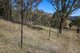 Photo - 'Rutherglen' Limbri-Weabonga Road, Weabonga NSW 2340 - Image 8