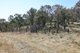 Photo - 'Rutherglen' Limbri-Weabonga Road, Weabonga NSW 2340 - Image 11