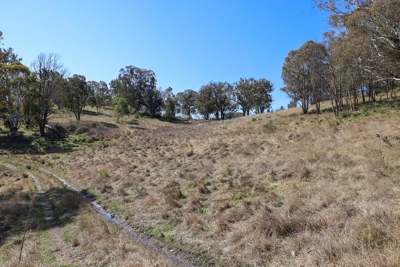 Photo - 'Rutherglen' Limbri-Weabonga Road, Weabonga NSW 2340 - Image 12