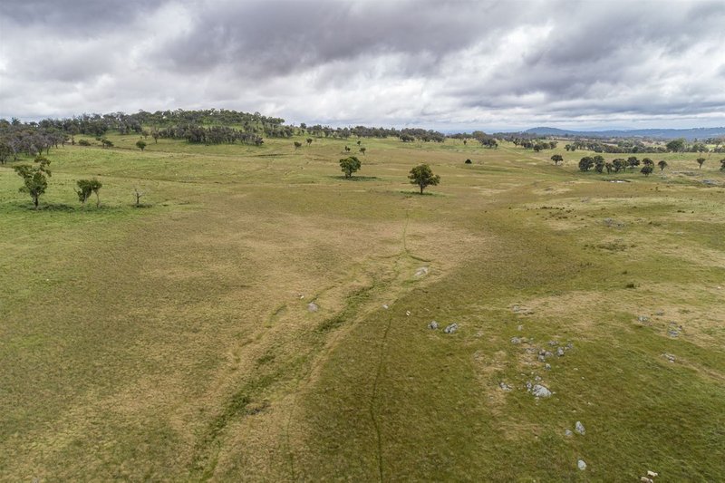 Photo - Ryan West/Lot 18 / Part 216 Green Gully Road, Uralla NSW 2358 - Image 5