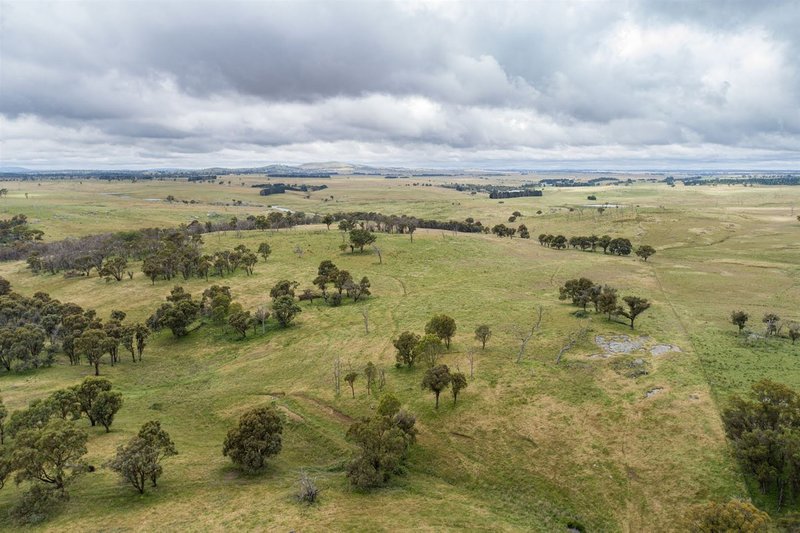 Photo - Ryan West/Lot 18 / Part 216 Green Gully Road, Uralla NSW 2358 - Image 11