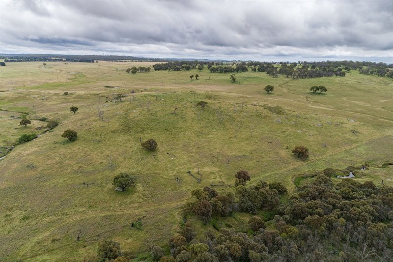 Photo - Ryan West/Lot 18 / Part 216 Green Gully Road, Uralla NSW 2358 - Image 12