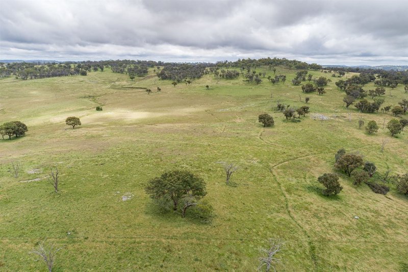 Photo - Ryan West/Lot 18 / Part 216 Green Gully Road, Uralla NSW 2358 - Image 16