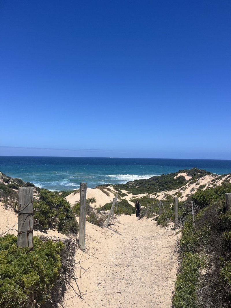 Photo - Rye VIC 3941 - Image 17