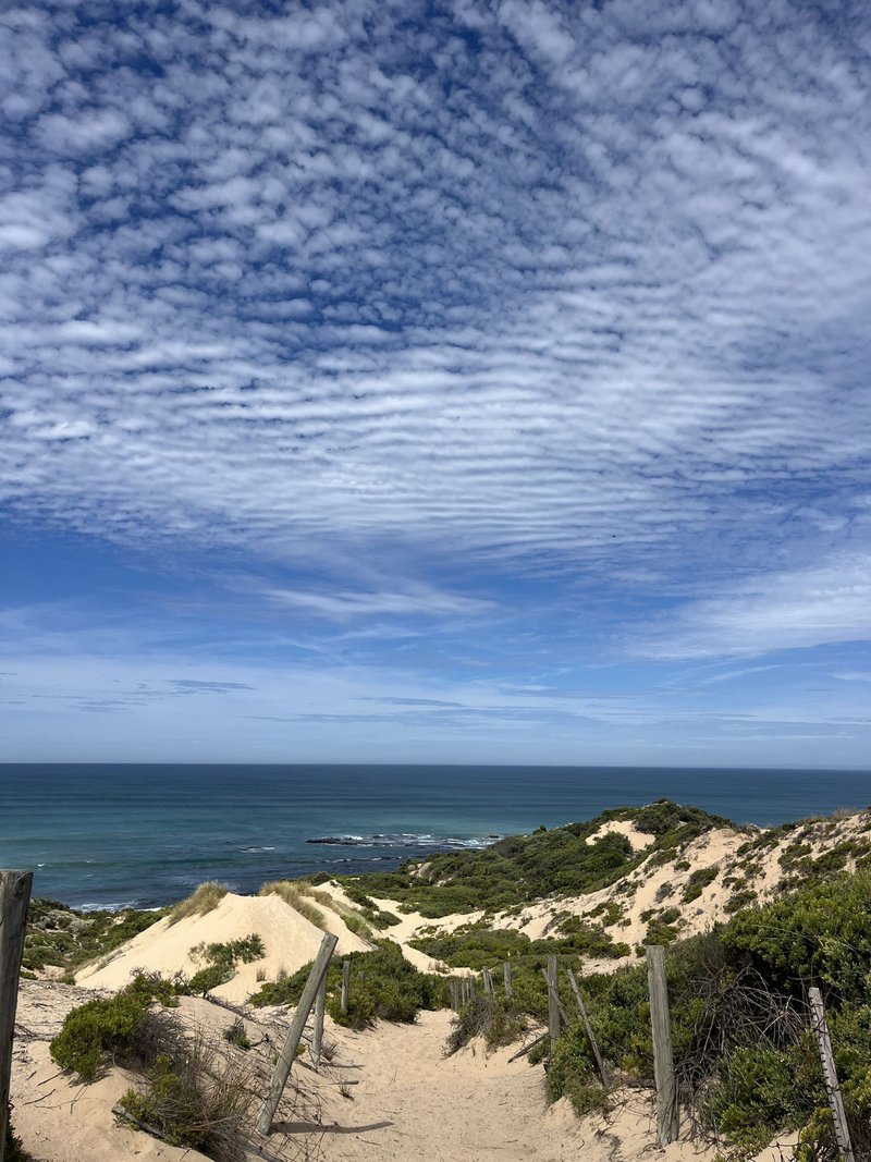 Photo - Rye VIC 3941 - Image 18