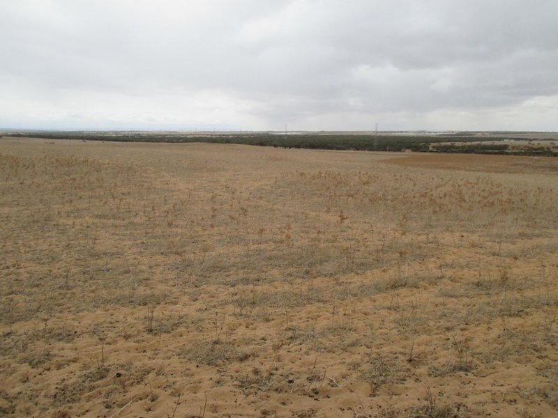 Photo - S219 Orland Rd , Tailem Bend SA 5260 - Image 3