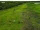 Photo - Sanctuary Avenue, Marrakai NT 0822 - Image 7