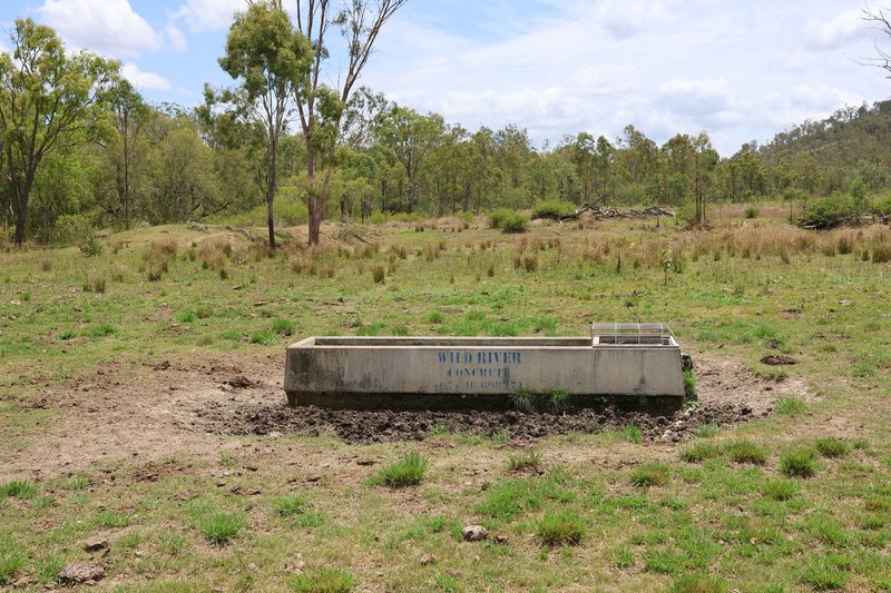 Photo - "Santa Glen" 513 Norton Road, Boynedale QLD 4680 - Image 8